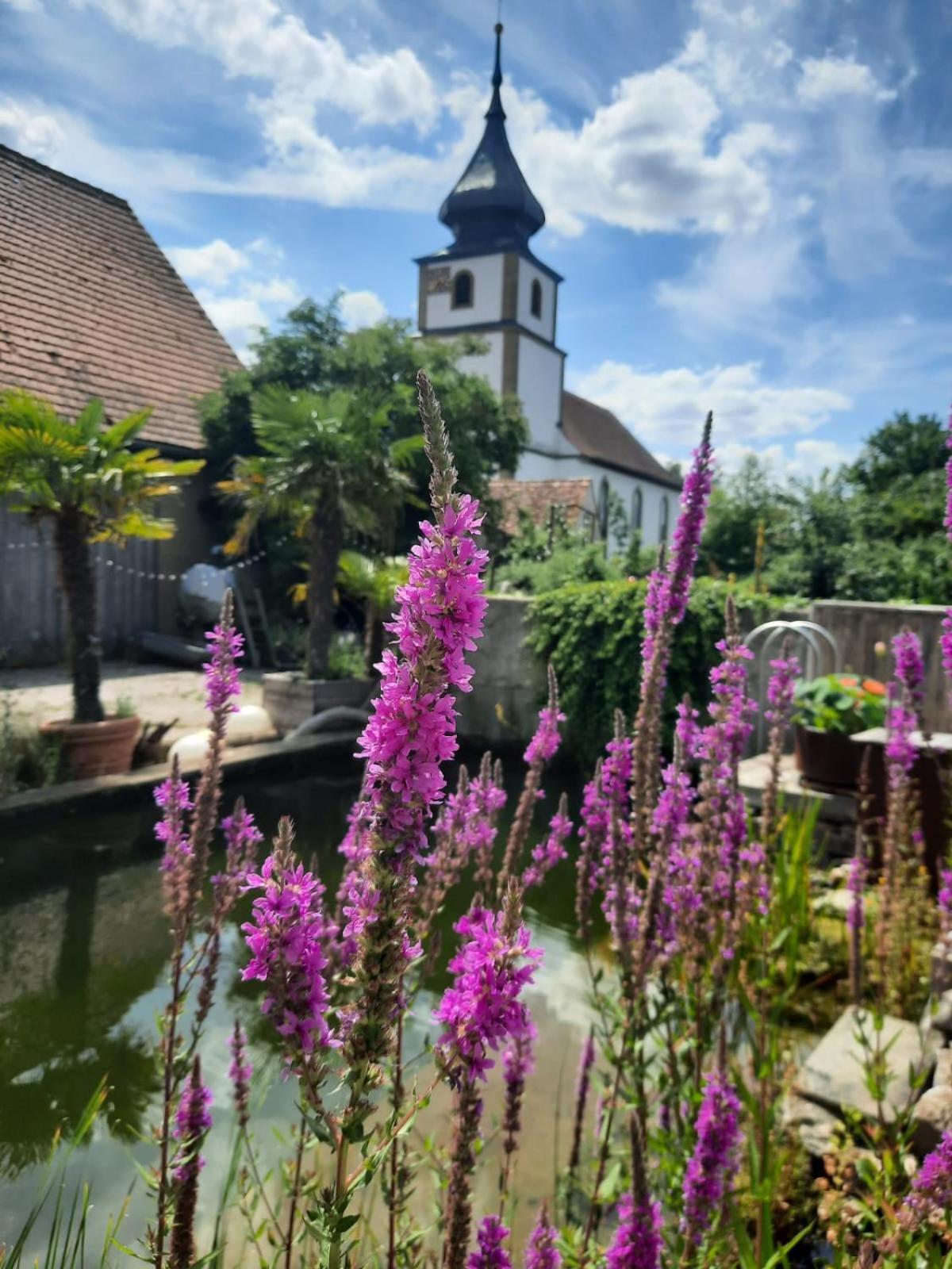 Spatzennest Und Rabennest Sugenheim 외부 사진